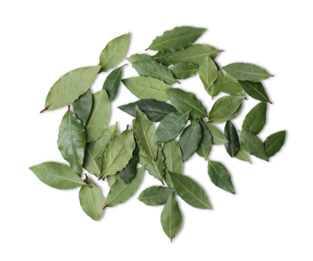 istock Many fresh bay leaves on white background, flat lay 1748929758