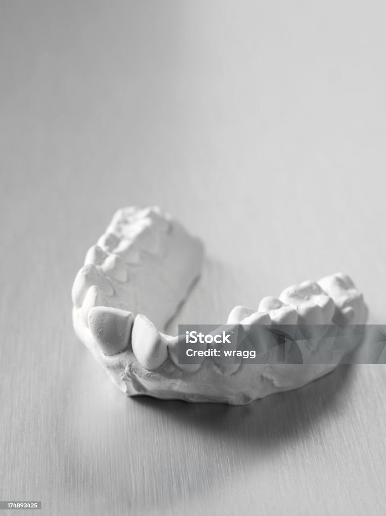 Стоматологическая пресс-форм взрослых Зубы человека - Стоковые фото Белый роялти-фри
