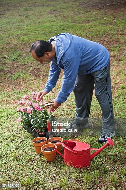 Senior Hispanic Mann Gartenarbeit Stockfoto und mehr Bilder von 60-69 Jahre - 60-69 Jahre, 65-69 Jahre, Aktiver Lebensstil