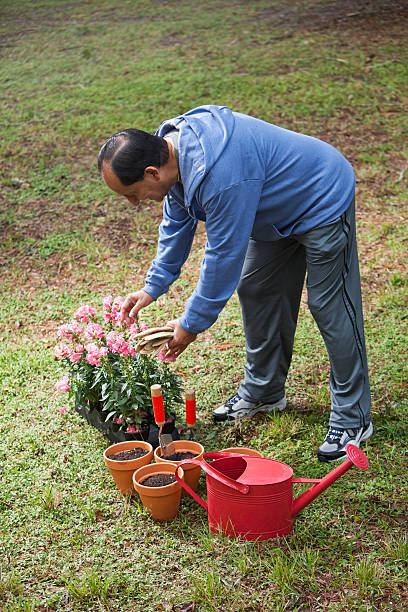 Senior Hispanic man gardening