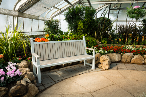 A wooden bench in a greenhouse surrounded by blooming flowers and colour.