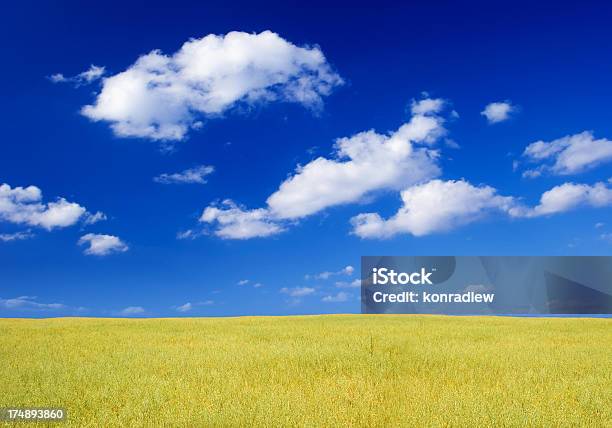 Foto de Campo Verdepaisagem e mais fotos de stock de Céu - Fenômeno natural - Céu - Fenômeno natural, Plano de Fundo, Abstrato