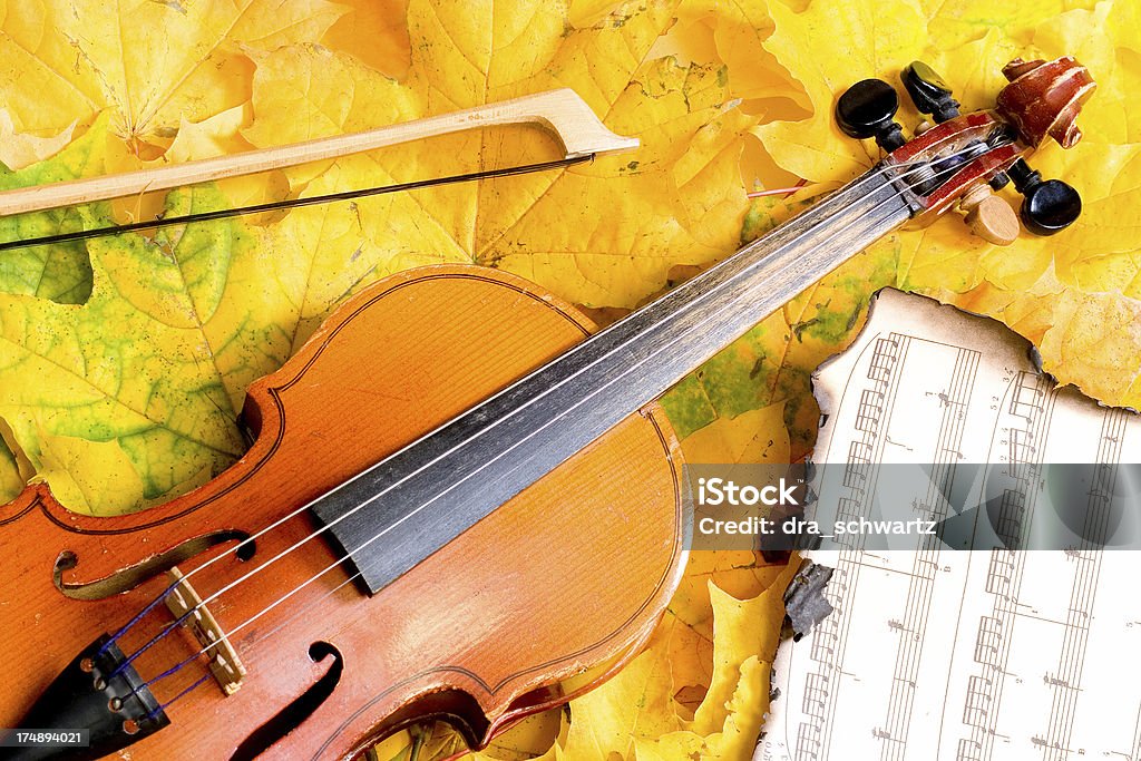 Violino - Royalty-free Outono Foto de stock