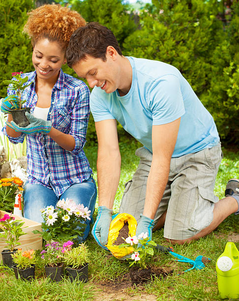 istock Young Couple Planting a Flower. 174894375