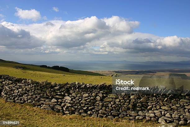 Stonewall En Los Prados Galesa De Montaña Foto de stock y más banco de imágenes de Agricultura - Agricultura, Aire libre, Aldea