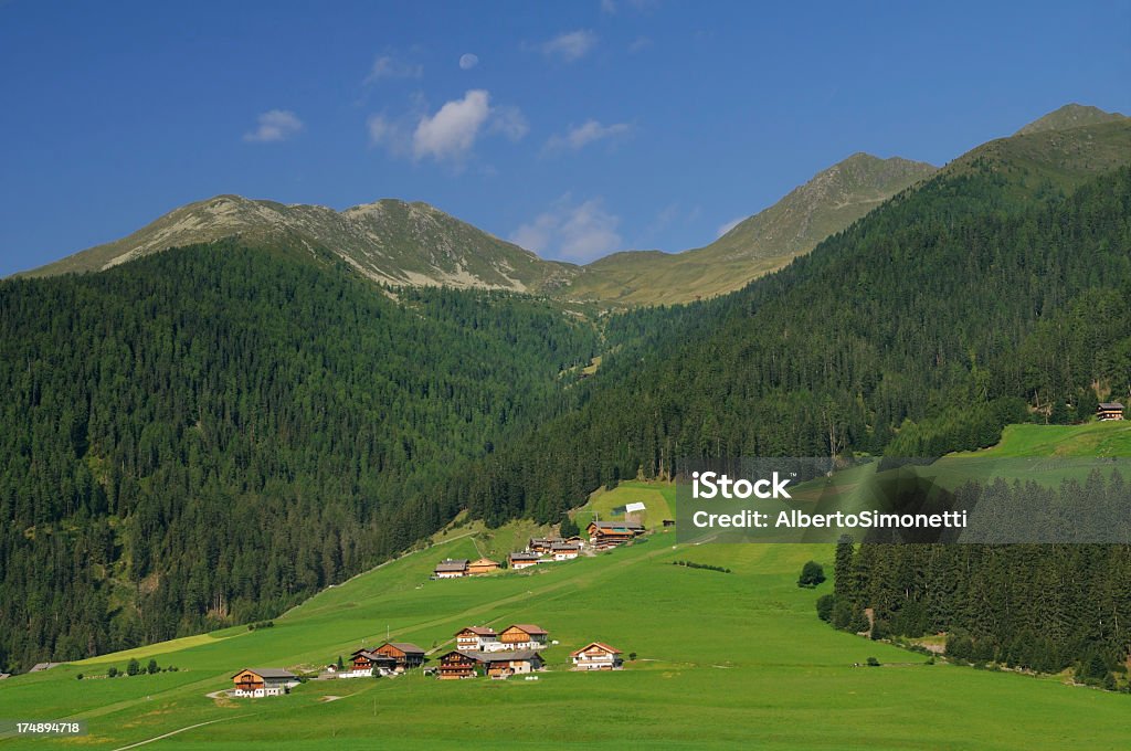 Summer Alpine Valley (Val Casies-Gsieser Al) - Zbiór zdjęć royalty-free (Bez ludzi)