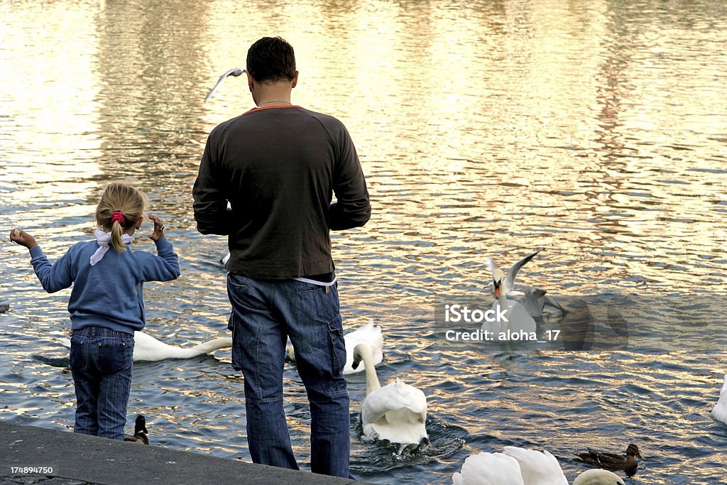 Füttern Sie die Vögel - Lizenzfrei Aktivitäten und Sport Stock-Foto