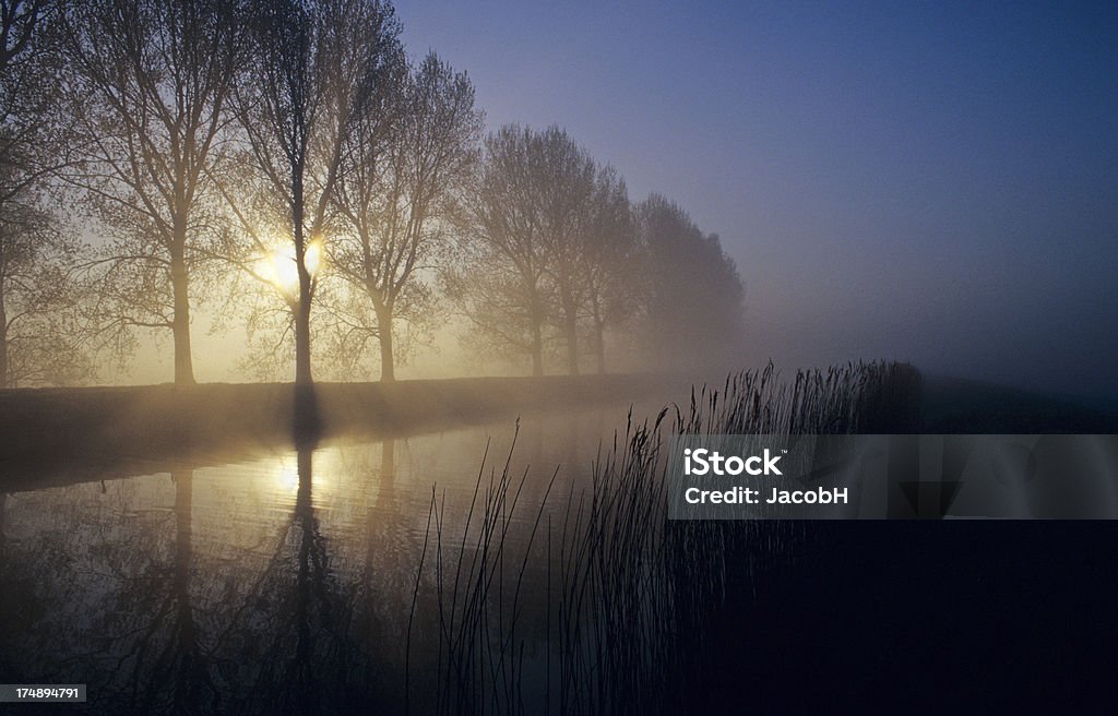 Nevoeiro de manhã - Foto de stock de Borrifo royalty-free