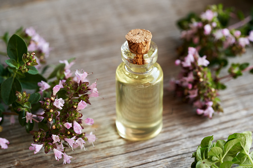 A glass bottle of essential oil with blooming oregano plant on wooden background