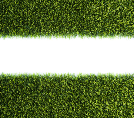 Artificial grass border isolated on white.  Add your own message or brand