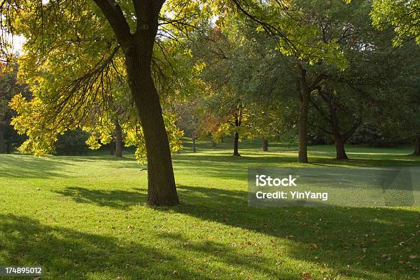 Parklandschaft Mit Malerischen Herbst Wald Und Wiese Schatten Stockfoto und mehr Bilder von Baum