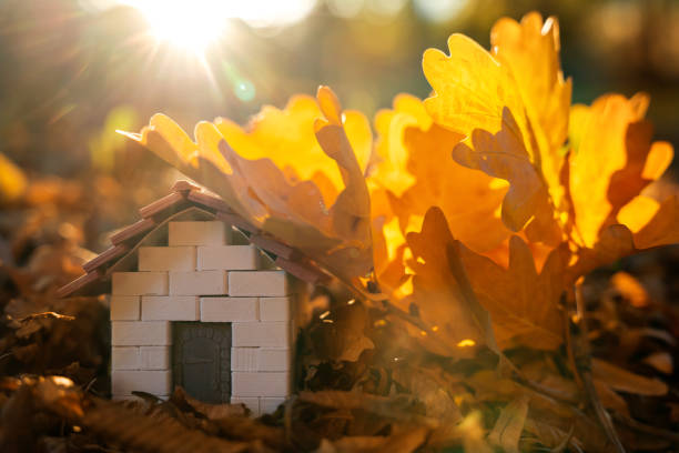 miniaturowy drewniany dom z żółtymi liśćmi w słoneczny jesienny dzień. koncepcja nieruchomości i przystępnych cenowo mieszkań. kredyt hipoteczny, kredyt i ubezpieczenie mieszkań. sprzedaż i kupno domu. zachód słońca - cenowo zdjęcia i obrazy z banku zdjęć