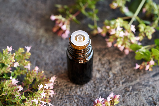 A dark bottle of aromatherapy essential oil with fresh blooming oregano plant