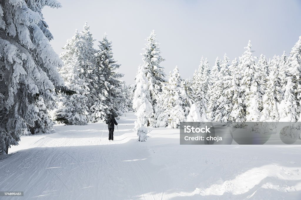Лыжные бегун на Прекрасный зимний day.Rogla, Словения - Стоковые фото Без людей роялти-фри