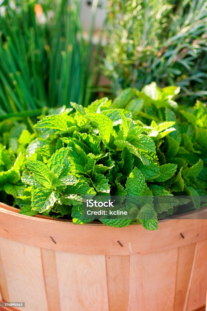 Herb Korb - Lizenzfrei Bauernmarkt Stock-Foto