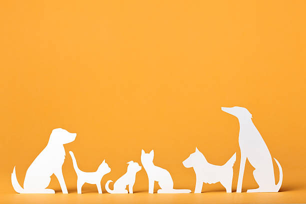 Paper concept of different cats and dogs.