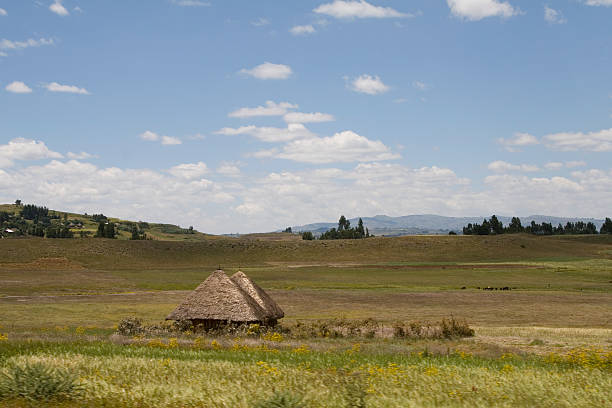 paesaggio etiope - hut africa grass hut mud hut foto e immagini stock