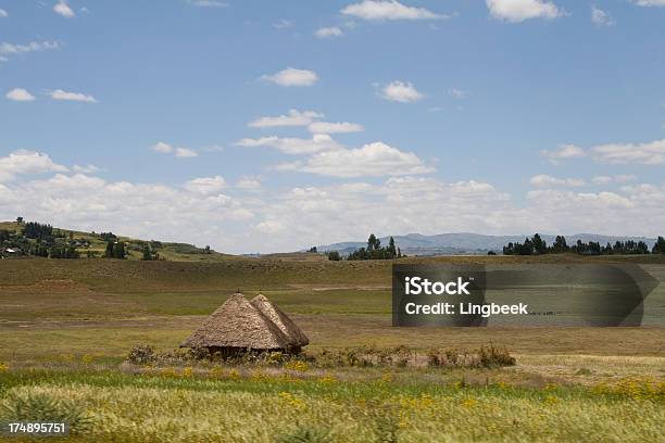 Paisagem Da Etiópia - Fotografias de stock e mais imagens de Adis Abeba - Adis Abeba, Agricultura, Ajardinado