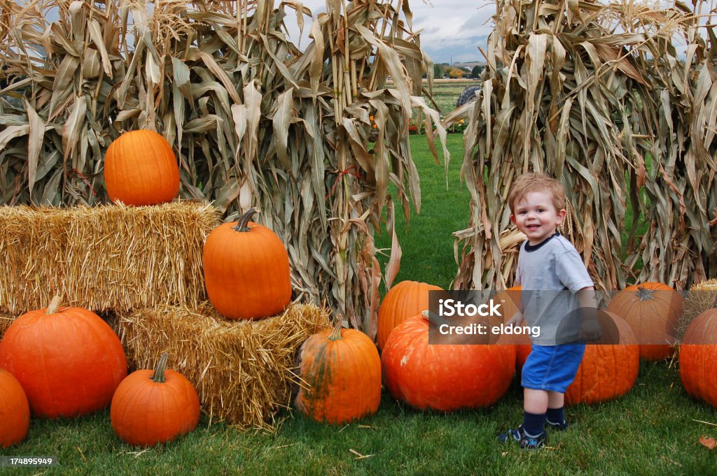 Pumpkin Delight Small child enjoying the fall season at a pumpkin farm. Bale Stock Photo