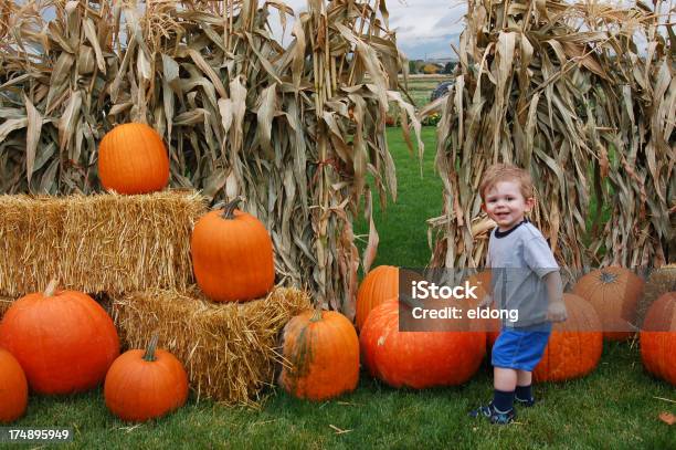 Pumpkin Delight Stock Photo - Download Image Now - Bale, Corn - Crop, Pumpkin