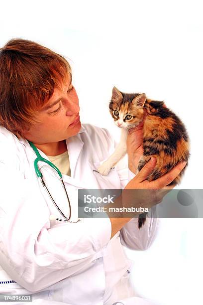 Foto de Veterinário e mais fotos de stock de Fundo Branco - Fundo Branco, Gato doméstico, Mulheres