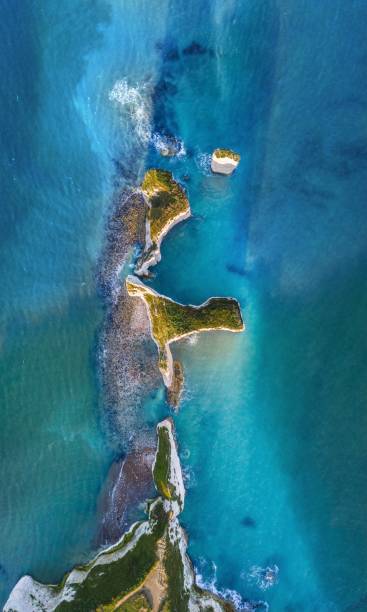 Aerial Majesty: Old Harry Rocks Unveiled An overhead capture of the iconic Old Harry Rocks in Dorset, showcasing the dramatic chalk formations juxtaposed against the azure waters of the English Channel. The pristine white cliffs and vibrant seascapes embody the natural beauty of England's southern coastline. old harry rocks stock pictures, royalty-free photos & images