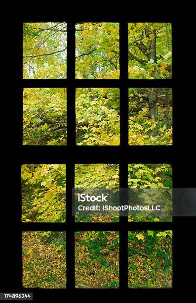 가을 낙엽 0명에 대한 스톡 사진 및 기타 이미지 - 0명, 12, 가을