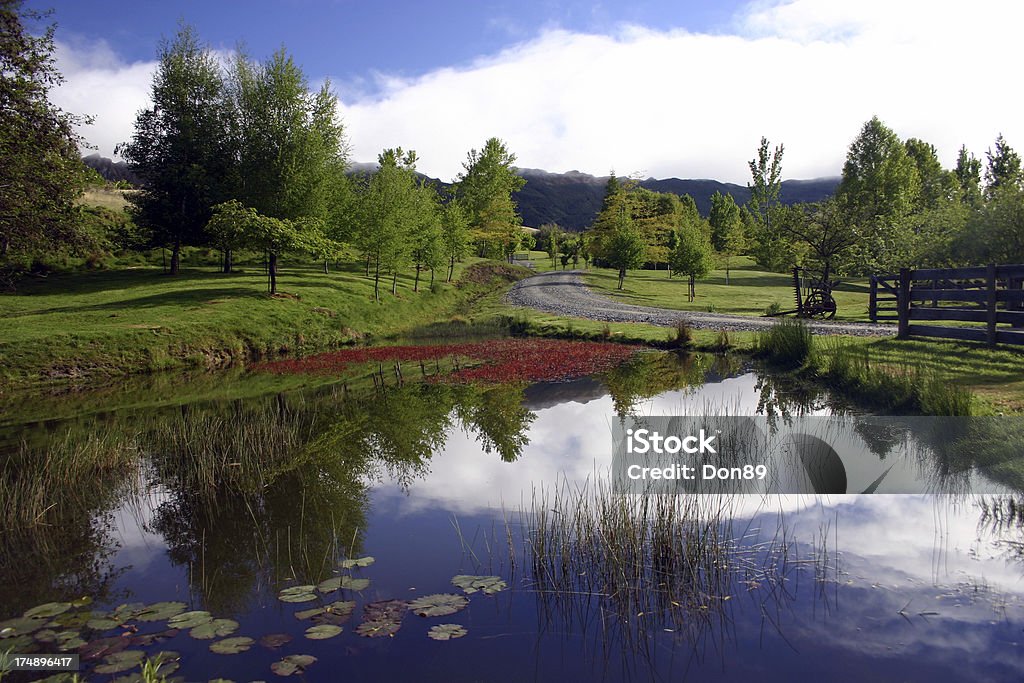 池の風景 - からっぽのロイヤリティフリーストックフォト