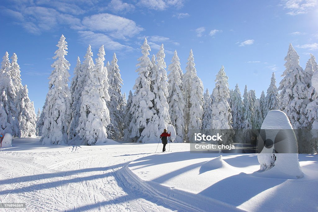 Sci runner su un bellissimo inverno day.Rogla, Slovenia - Foto stock royalty-free di Ambientazione esterna