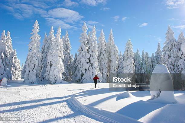 Sci Runner Su Un Bellissimo Inverno Dayrogla Slovenia - Fotografie stock e altre immagini di Ambientazione esterna