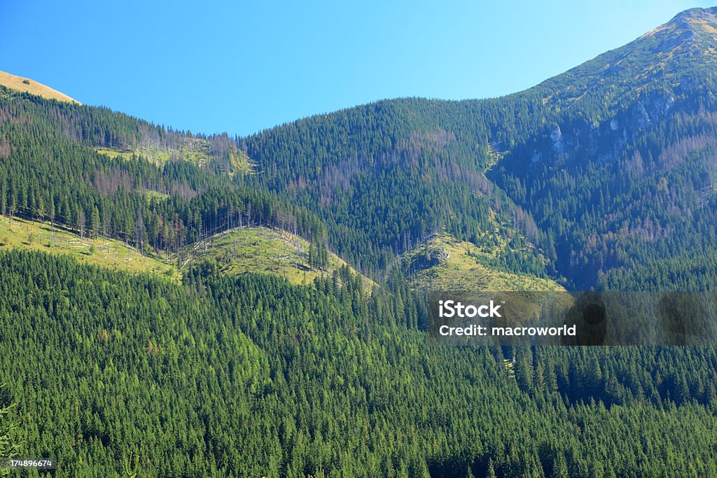 Montanhas de Tatra Paisagem - Royalty-free Ao Ar Livre Foto de stock