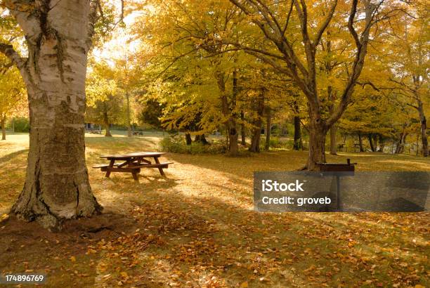 Photo libre de droit de Parc Et Cadre Picinic En Automne banque d'images et plus d'images libres de droit de Arbre - Arbre, Automne, Cadre de prise de vue