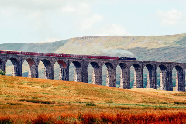 istock Steam train going over ribblehead viaduct in yorkshire with thick rusty braken in the forground 1748968138