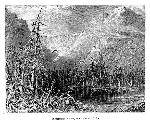 tuckerman ущелье в белые горы нью-гэмпшир - tuckerman ravine stock illustrations