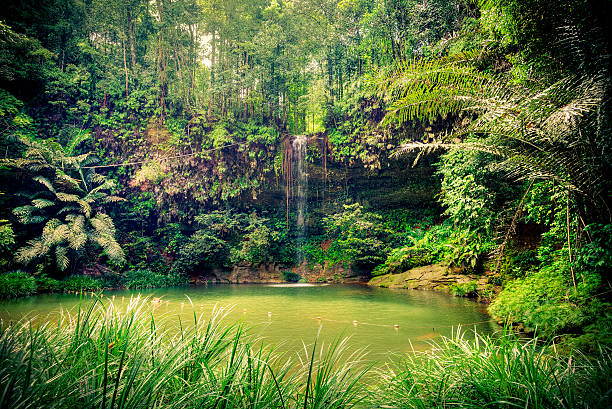 Beautiful waterfall in wild pristine nature