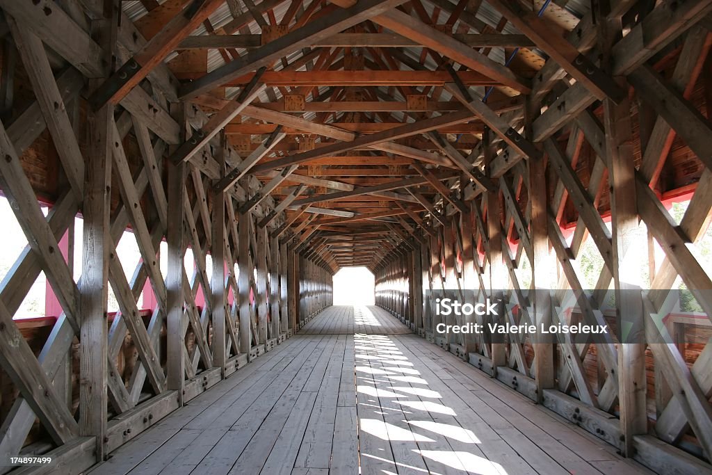 Passage - Foto de stock de Chelsea - Michigan royalty-free