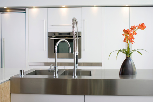 Beautiful modern kitchen with red tropical flower on stainless steel counter top.