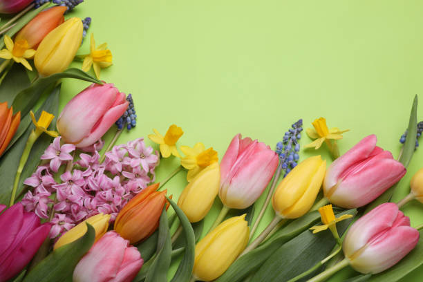 istock Beautiful different flowers on green background, flat lay. Space for text 1748978939