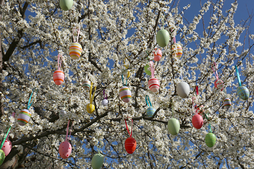 A set of hand-painted Easter eggs isolated on white.