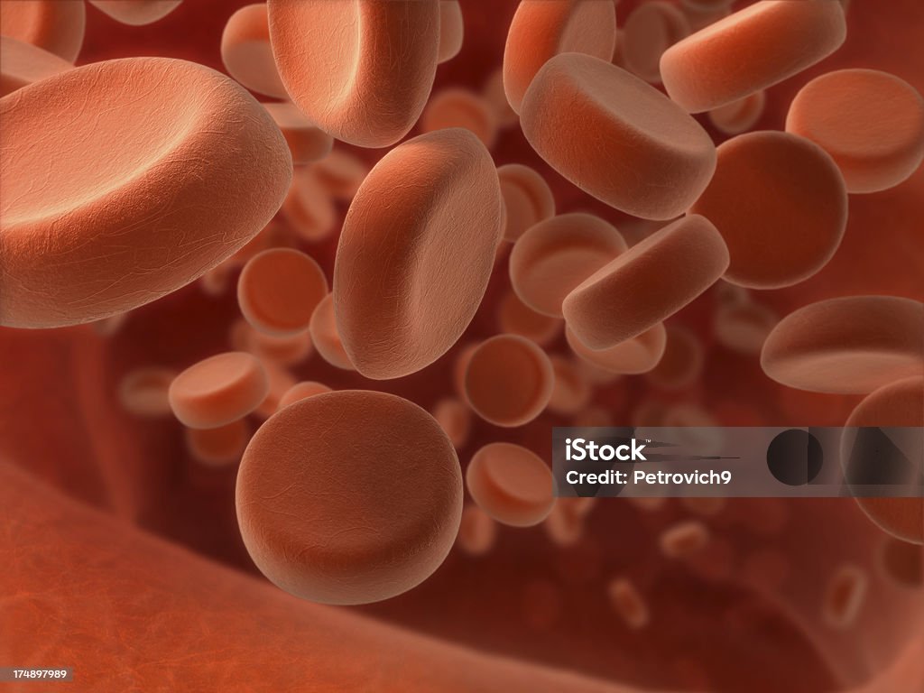 Macro de sangue - Foto de stock de Alta Magnificação royalty-free