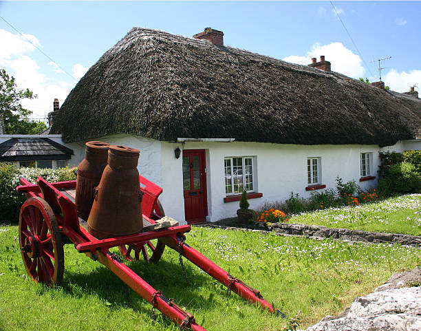 istock Thatched Cottage in Adare, Ireland 174898036