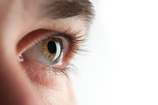 Closeup of a hazel eye looking ahead stock photo