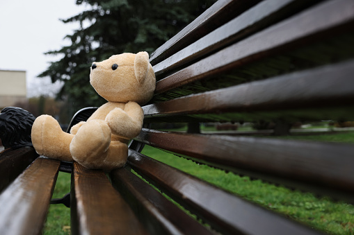 Lonely teddy bear on wooden bench outdoors