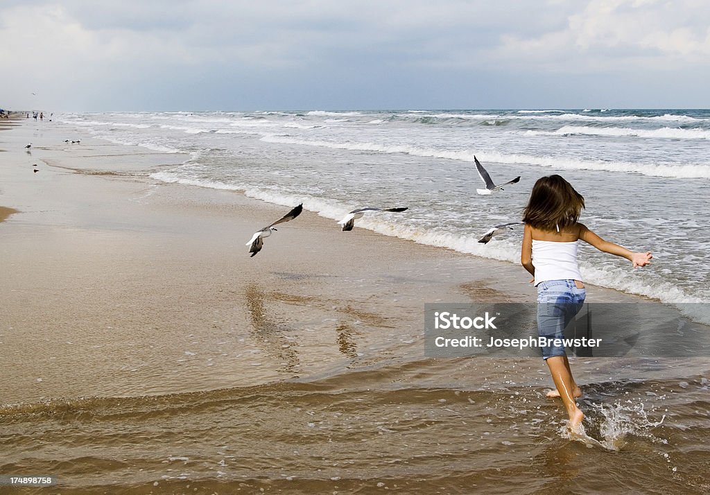 Familia en la playa - Foto de stock de Agua libre de derechos