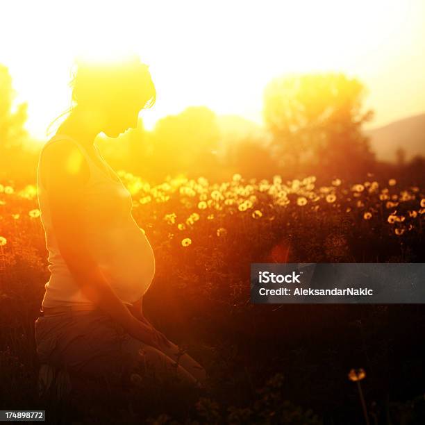 Prenatal Yoga Stock Photo - Download Image Now - Meadow, Pregnant, Sun