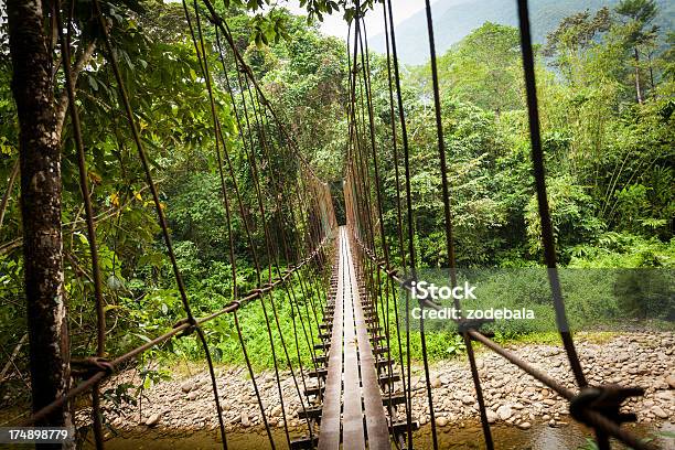 Lina Hanging Bridge Przejazd Przez Rzekę W Dżungli - zdjęcia stockowe i więcej obrazów Ameryka - Ameryka, Bez ludzi, Brązowy