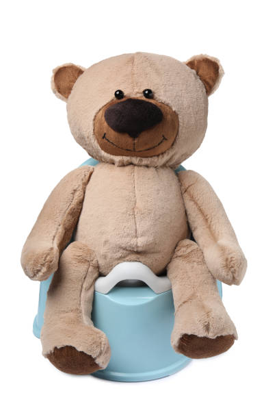 istock Teddy bear on light blue baby potty isolated on white. Toilet training 1748989573