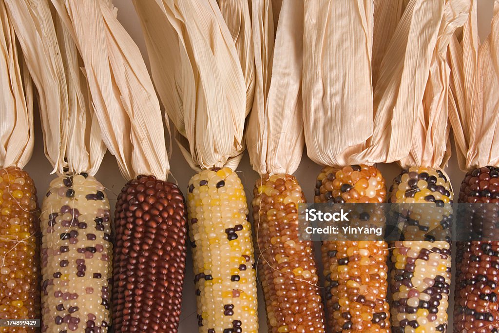 Maïs indien Row - Photo de Aliment séché libre de droits