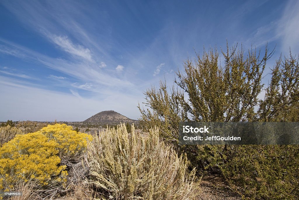 Vicino Schonchin rigogliosa vegetazione del deserto Butte - Foto stock royalty-free di Alba - Crepuscolo