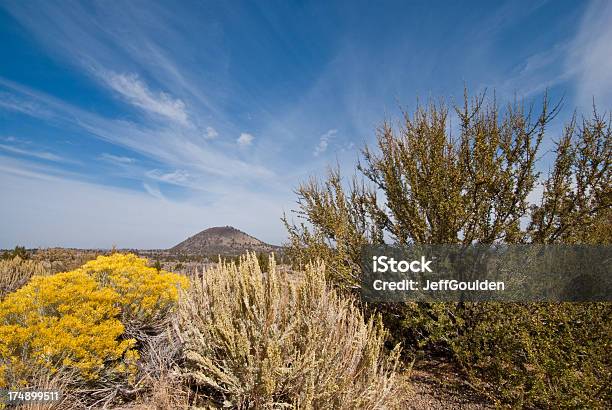 Vicino Schonchin Rigogliosa Vegetazione Del Deserto Butte - Fotografie stock e altre immagini di Alba - Crepuscolo